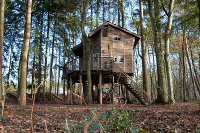 6-persoons Boomhut