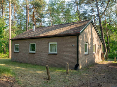 6-persoons hondenbungalow