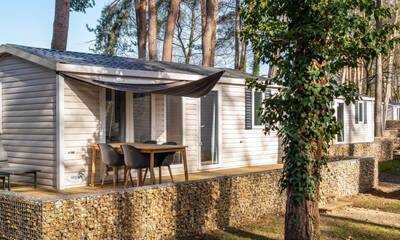 Bos cottage 4-5