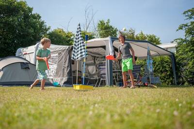 Comfort Royal veld 3000
