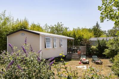 Cottage Family 5