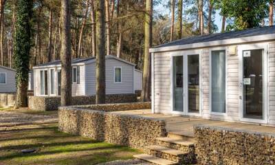 Denne cottage 6