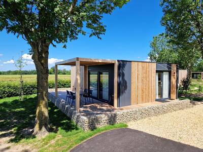 Domus 4