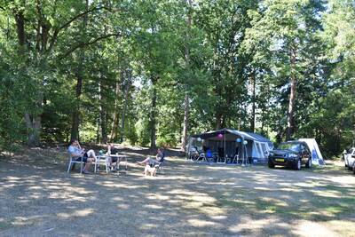 Kampeerplaats met hond Ommerhout