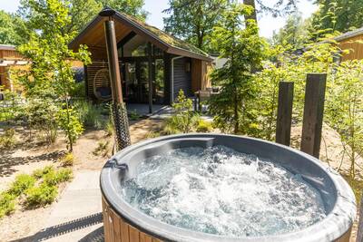 Tiny Lodge Eco 4 personen (Hottub): Tiny Lodge Eco 4 personen (Hottub)