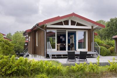Zilvermeeuw Comfort 6