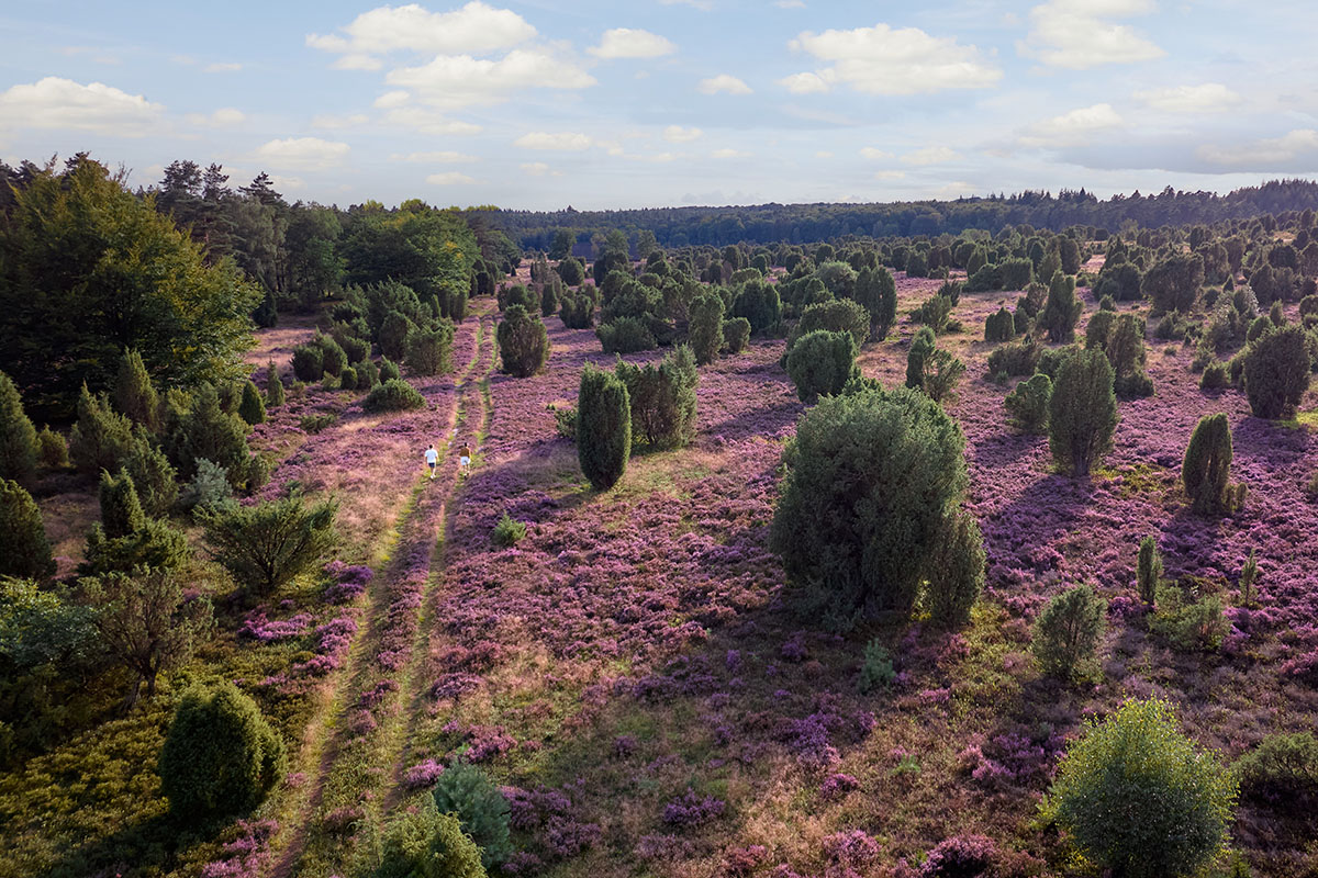 Duurzame vakantieparken in Nederland. Ga bewust op vakantie