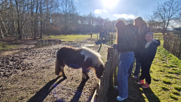 De dierenweide van EuroParcs Ruinen