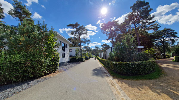 Vakantiehuizen aan een laan op EuroParcs De Zanding.