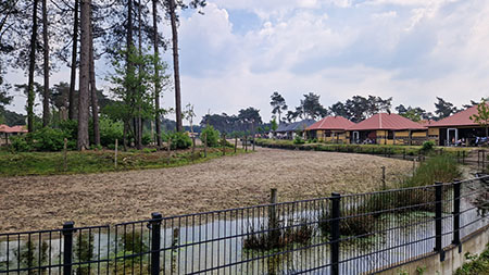 Vakantiehuizen aan een Savanne op Safari Resort Beekse Bergen