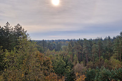 herfstactiviteiten vakantieparken 2024.jpg