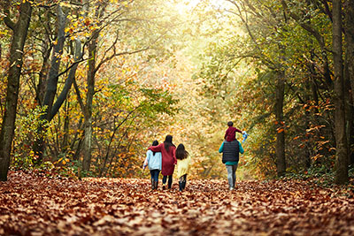 vakantiepark herfstvakantie.jpg