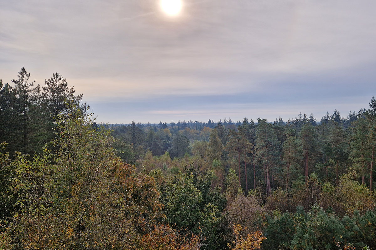 Blog | Herfstactiviteiten in vakantieparken voor 2024