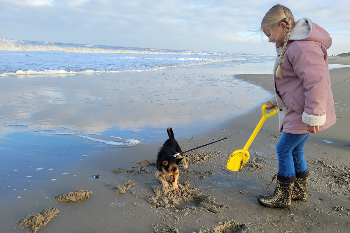 Vakantiepark met hond? Op deze parken is jouw hond welkom