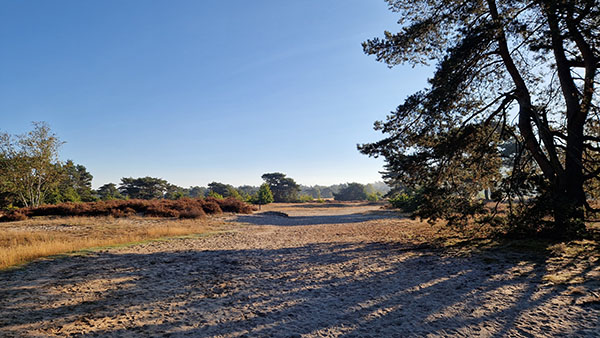 Foto van de natuur op de Veluwe bij Otterloo