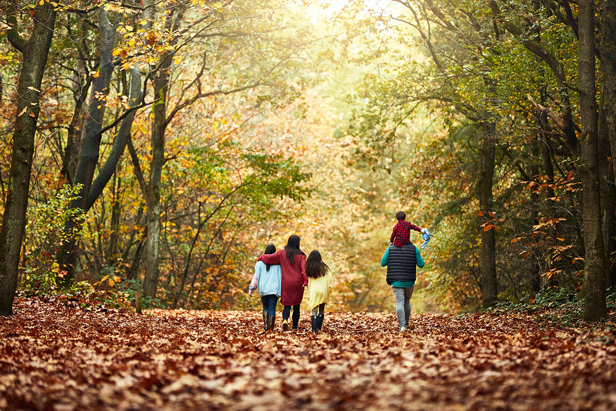 Verbonden met natuur: Vakantieparken voor natuurliefhebbers
