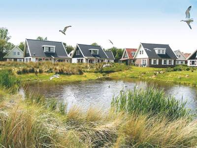 Holiday homes by a pond at the Landal Duinpark 't Hof van Haamstede holiday park