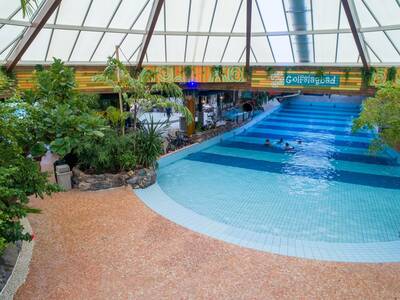 Wave pool in the subtropical swimming paradise in Landal Het Vennenbos
