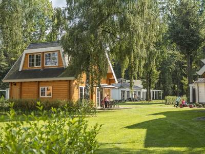 Holiday homes on a large lawn at the Landal Mooi Zutendaal holiday park