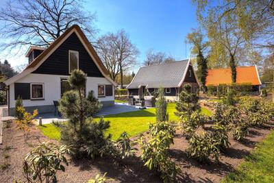 Vrijstaande vakantiehuizen met grote tuinen op vakantiepark EuroParcs De Hooge Veluwe