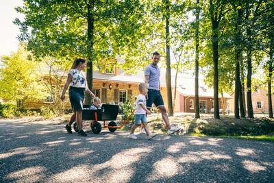 Gezin met bolderwagen wandelt voor vakantiehuizen op Roompot Vakantiepark Weerterbergen