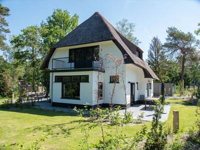 Villa voor 8 personen op vakantiepark Topparken Recreatiepark Beekbergen