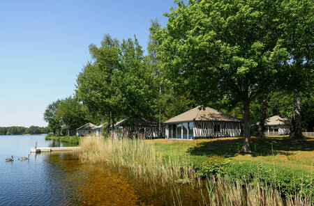 Jungalows aan het Victoriameer op Lake Resort Beekse Bergen