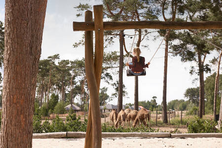 Meisje op een schommel in een speeltuin met uitzicht op de savanne op Safari Resort Beekse Bergen