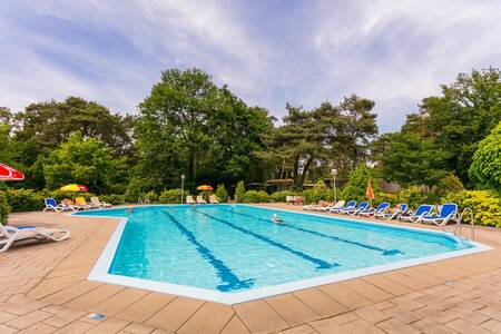 Het buitenzwembad van vakantiepark Bospark Markelo met heerlijke ligstoelen