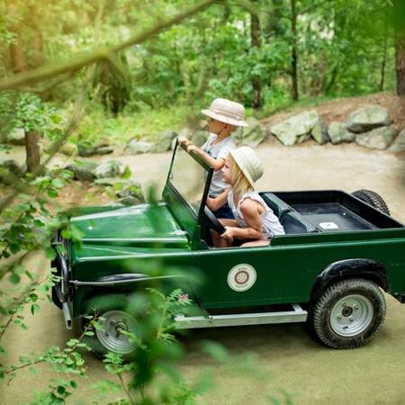 Kids Safari: uw kinderen zullen echt het gevoel hebben op safari te zijn