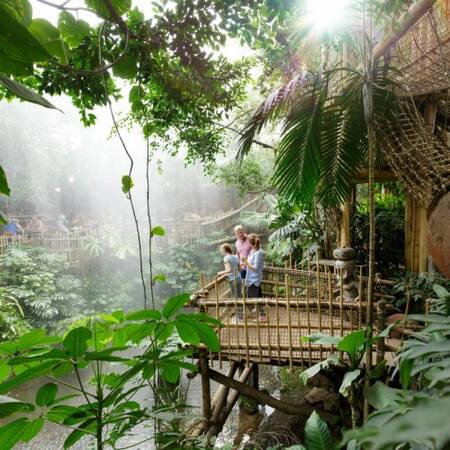 jungle dome op het Center Parcs Heijderbos