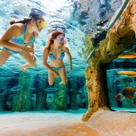 Snorkelen in het snorkelbad dat ligt in het Aqua Mundo zwembad in Center Parcs het Heijderbos