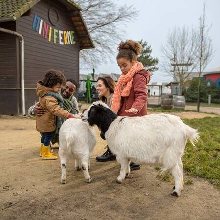 Kinderen aaien de geiten in de kinderboerderij op Center Parcs Le Lac d'Ailette