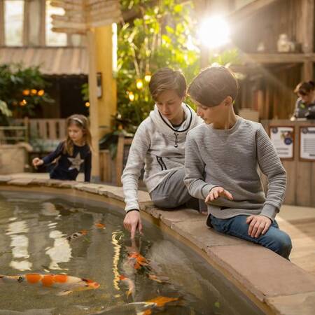 Center Parcs Les Ardennes beschikt over een prachtig Market Dome met restaurants en winkeltjes