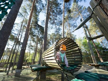 High Adventure activiteit op Center Parcs Les Hauts de Bruyères