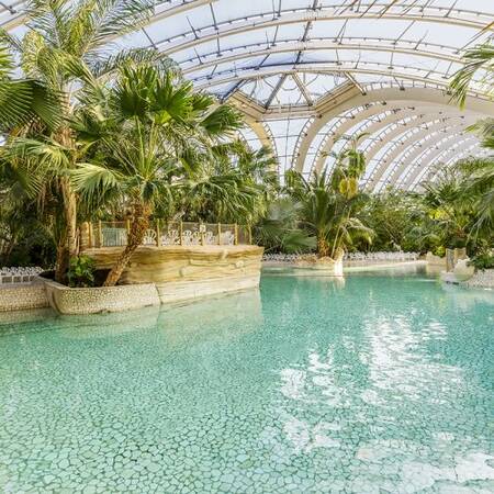 Het subtropisch zwembad Aqua Mundo van Center Parcs Les Trois Forêts heeft ook een golfslagbad