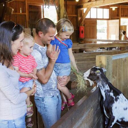 Een gezin op de kinderboerderij van Center Parcs Les Trois Forêts