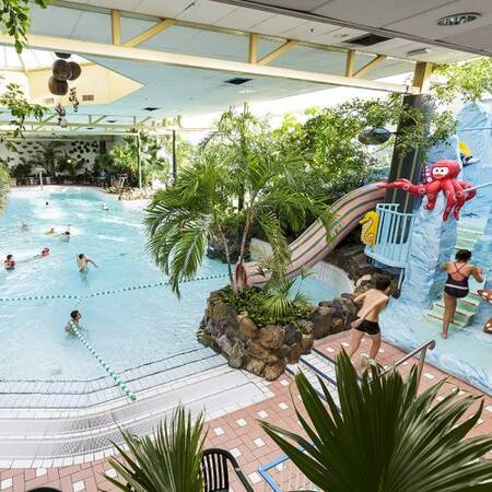 Het Aqua Mundo subtropisch zwemparadijs van Center Parcs Limburgse Peel