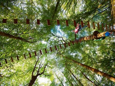 Het "Kids High Adventure activiteit" op Center Parcs Villages Nature Paris
