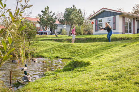 chalet type texel