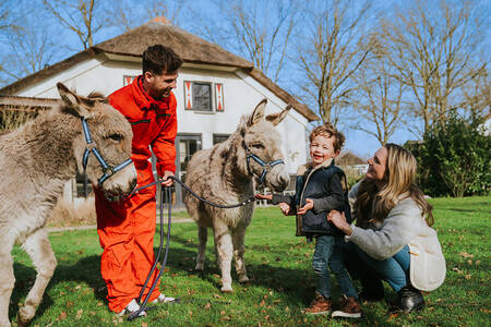 Moeder met een kind bekijken 2 ezels op vakantiepark Dierenbos