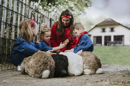 Kinderen knuffelen met konijnen op vakantiepark Dierenbos