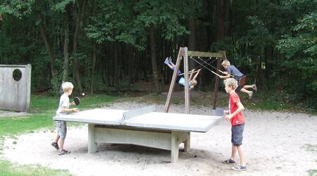 Speeltuin met tafeltennistafel en schommel op vakantiepark Drouwenerzand