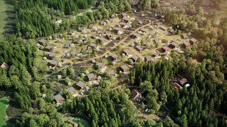 Luchtfoto van vakantiehuizen op vakantiepark Dutchen Park de Zeegser Duinen en het bos