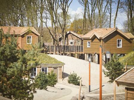 Themakamer Boomzicht op vakantiepark Efteling Loonsche Land