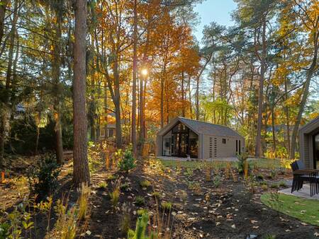 Chalet van het type "Forest Lodge" op vakantiepark Europarcs EuroParcs Beekbergen