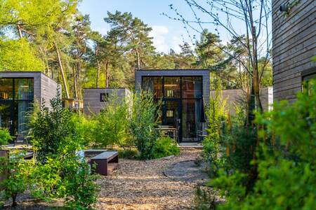 Meerdere Tiny houses op vakantiepark EuroParcs Beekbergen