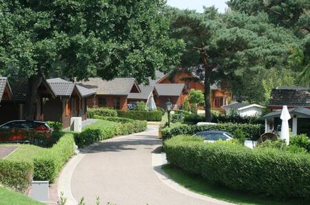 Vakantiehuizen aan een laantje op vakantiepark EuroParcs Brunssummerheide