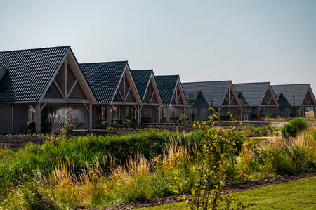 Vrijstaande vakantiehuizen op vakantiepark EuroParcs Cadzand