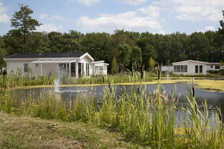 Chalets aan het water op vakantiepark EuroParcs De Biesbosch